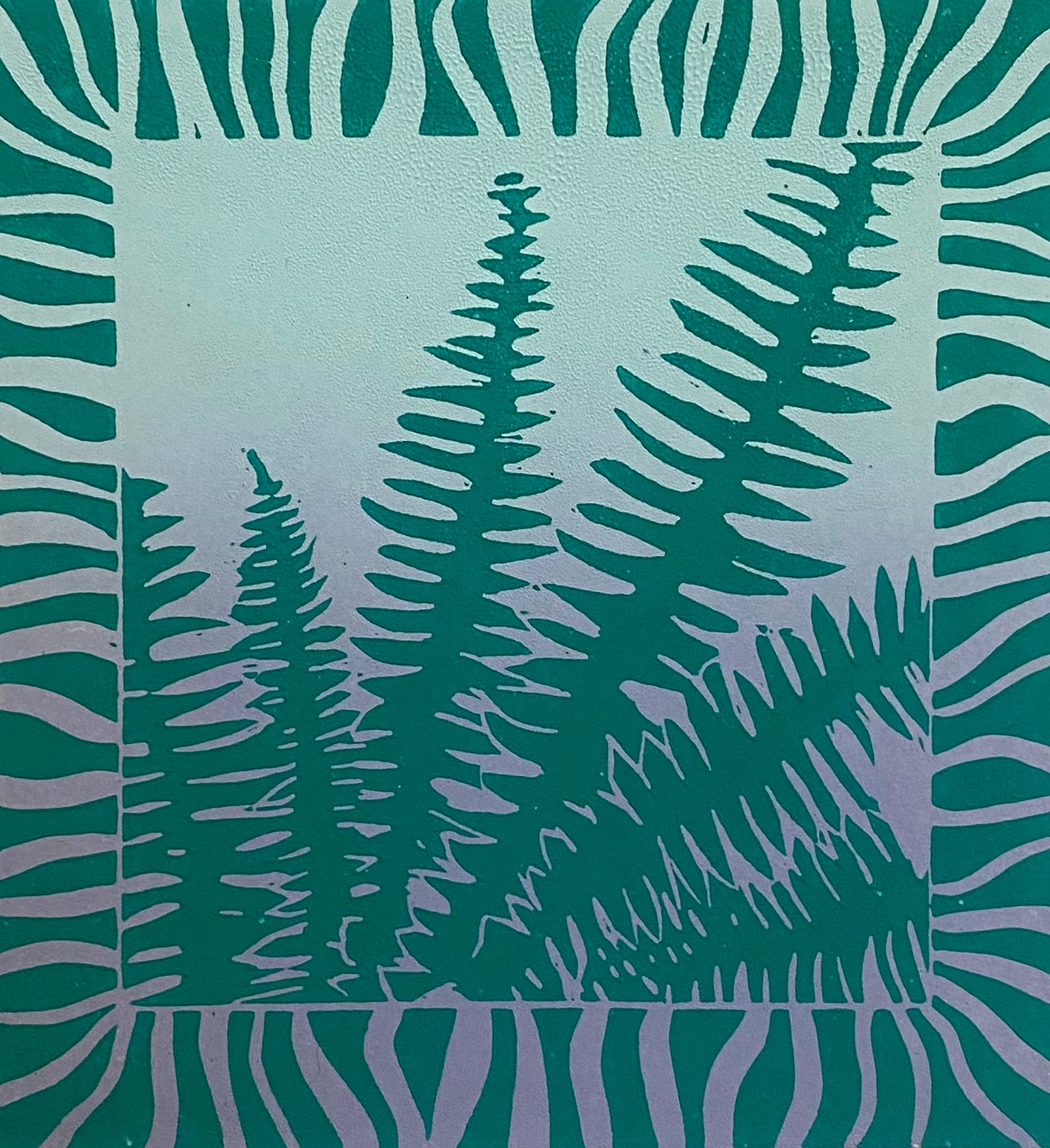 Ferns